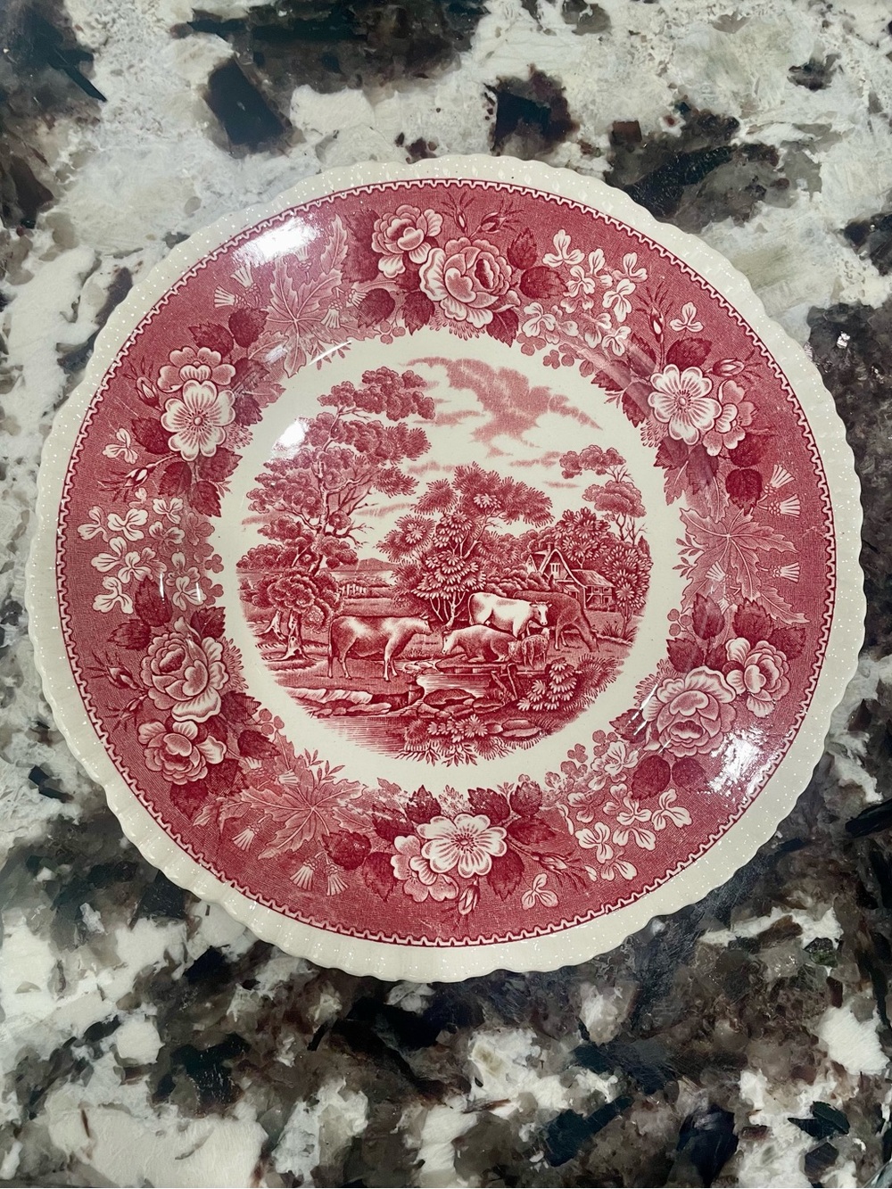 Adams Staffordshire “English Scenic” Transfer-ware Dinner Plate - Vintage